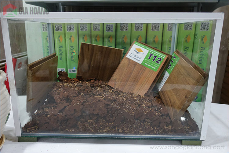 Sàn gỗ Robina - Công nghệ ván sàn chống mối mọt