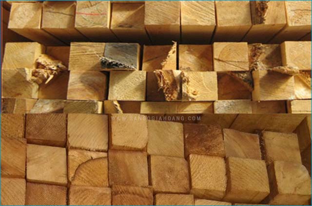Sàn gỗ cao su chống mối mọt