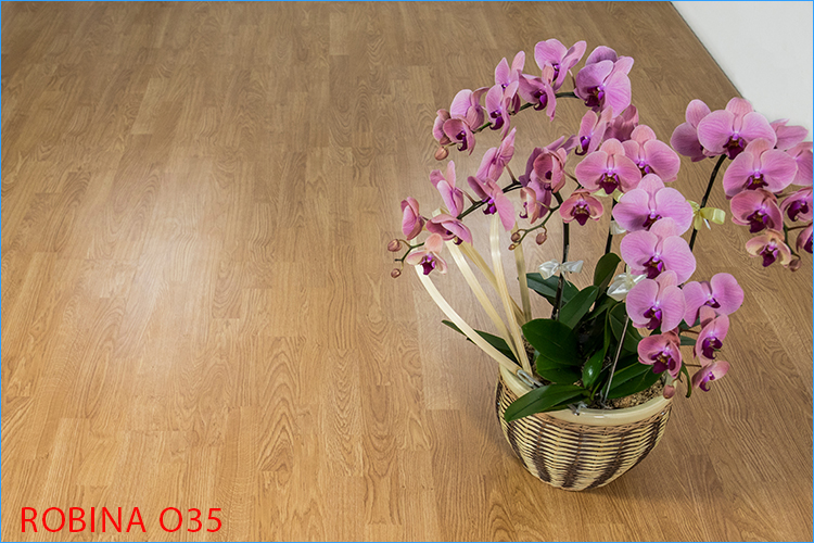 Mẫu sàn gỗ Robina O35