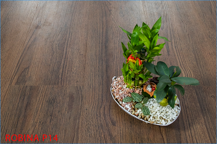 Mẫu sàn gỗ Robina P14