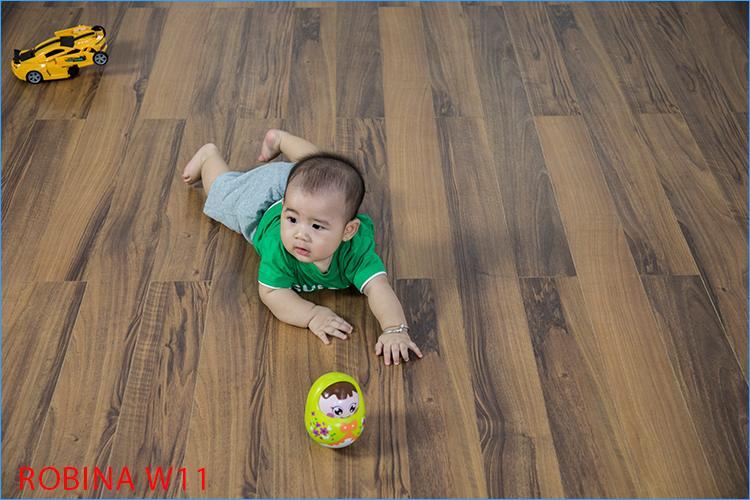 Mẫu sàn gỗ Robina W11